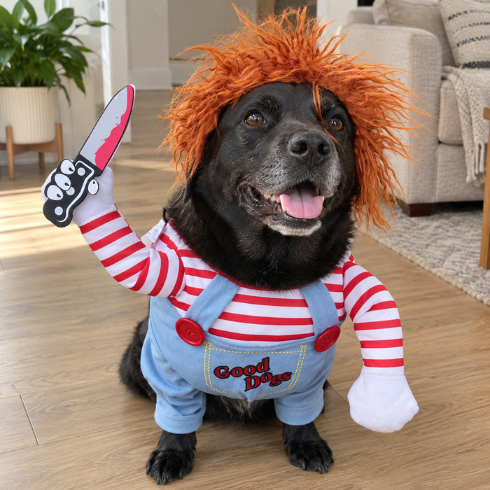 Scary doll dog Halloween costume - blue "Good Dogs" overalls, red and white striped sleeves and a shaggy ginger wig on a black dog - The Festive Atelier